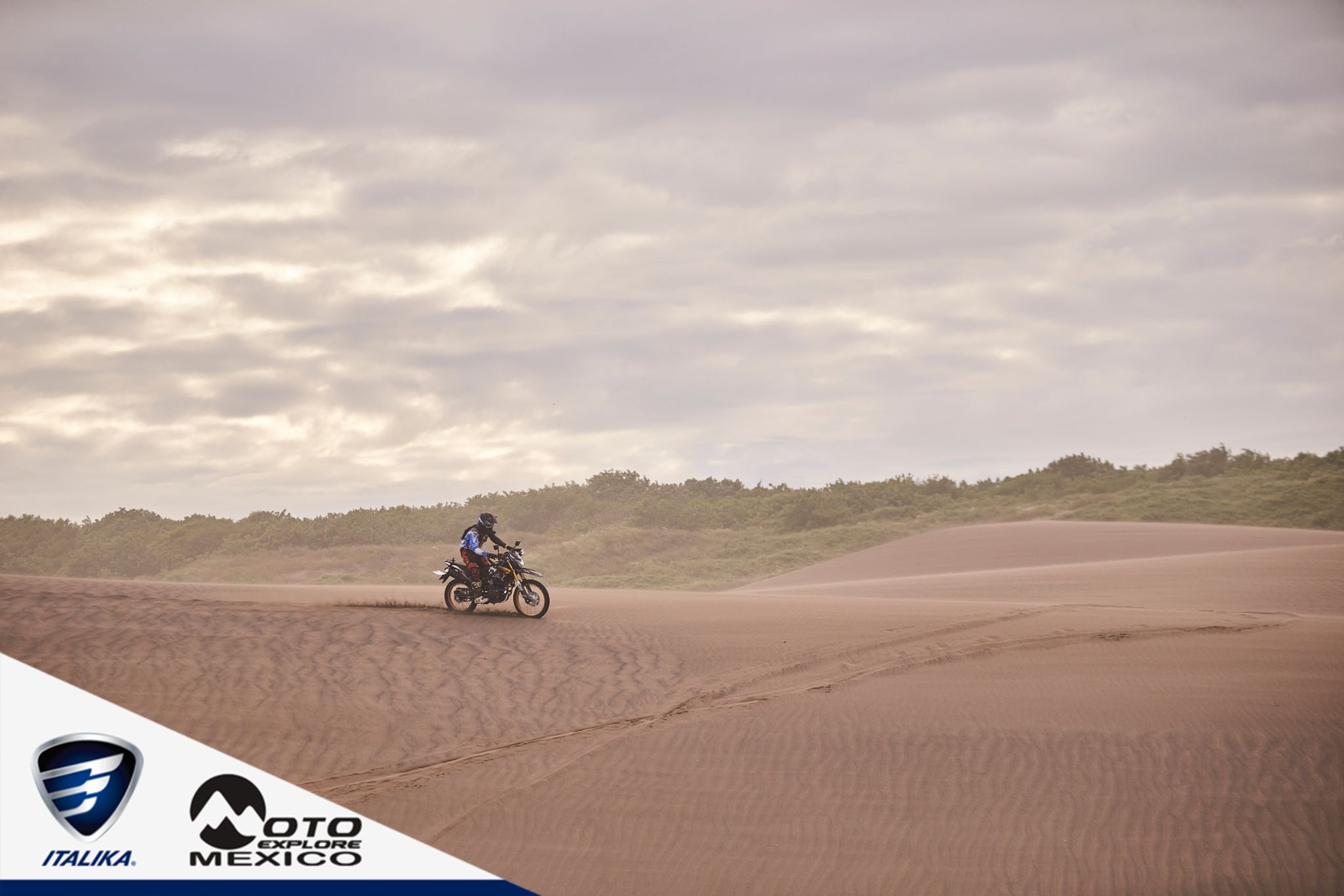 ITALIKA CHACHALACAS D2 494